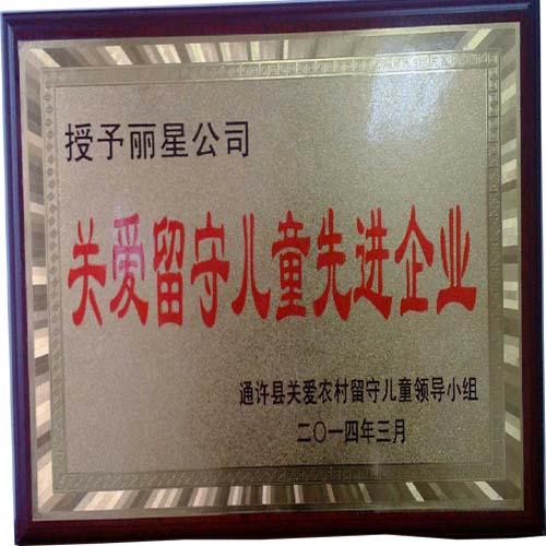 leyu·乐鱼
公司留守儿童关爱先进企业