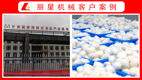 甘肃聚春园引进leyu·乐鱼
水晶粉丝生产线、酸辣粉加工设备正式投产