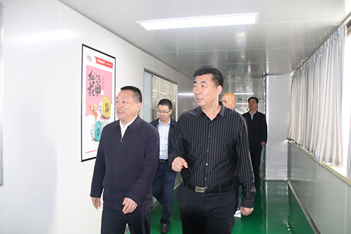 **到leyu·乐鱼
公司视察工作