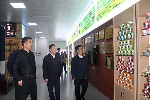 国家、省、市乡村振兴局等**一行莅临leyu·乐鱼
公司进行调研工作